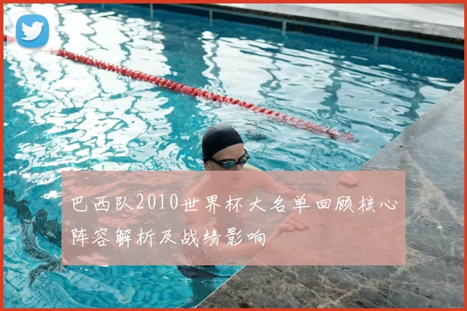 巴西队2010世界杯大名单回顾核心阵容解析及战绩影响