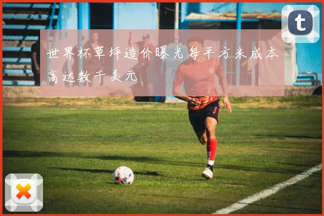 世界杯草坪造价曝光每平方米成本高达数千美元