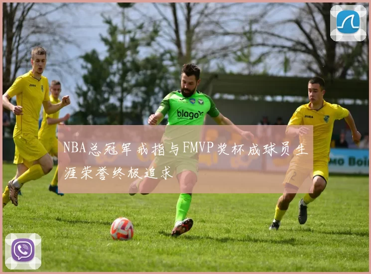NBA总冠军戒指与FMVP奖杯成球员生涯荣誉终极追求