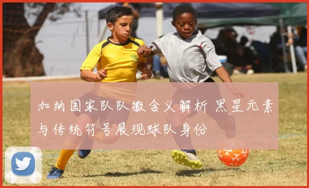 加纳国家队队徽含义解析 黑星元素与传统符号展现球队身份