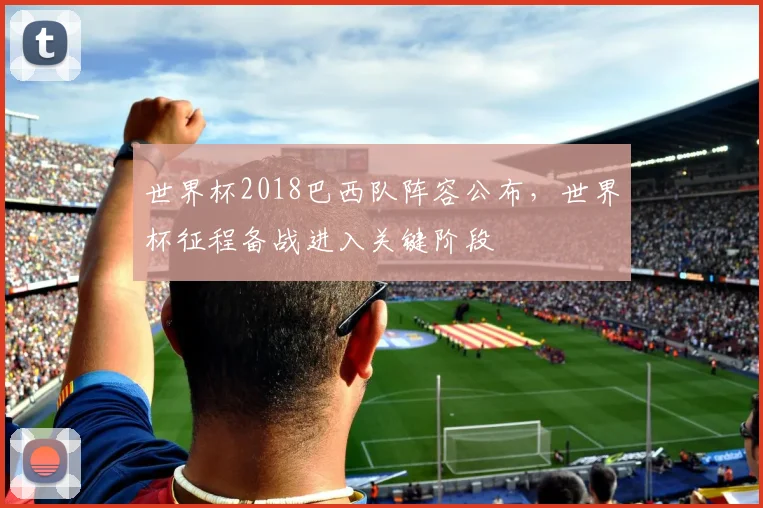 世界杯2018巴西队阵容公布,世界杯征程备战进入关键阶段