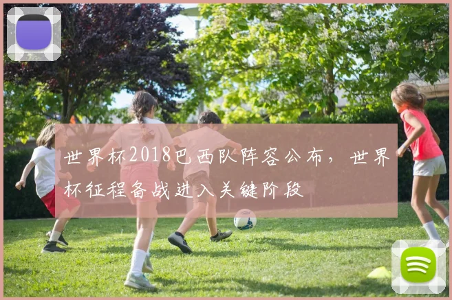 世界杯2018巴西队阵容公布,世界杯征程备战进入关键阶段